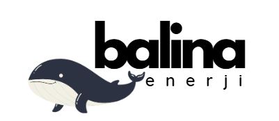 BALINA ENERJI